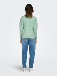 ONLY Strickpullover Feinstrick ONLRICA LIFE Longsleeve günstig online kaufen