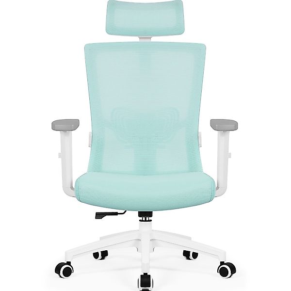 Adormii Bürostuhl Bürostuhl mit Gerauschlose Gummirollen,Ergonomischer günstig online kaufen