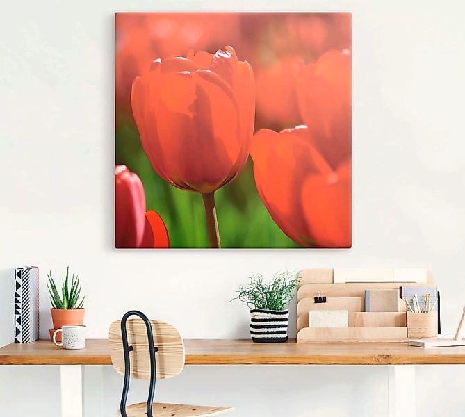 Artland Leinwandbild "Rote Tulpen in der Sonne", Blumen, (1 St.), auf Keilr günstig online kaufen