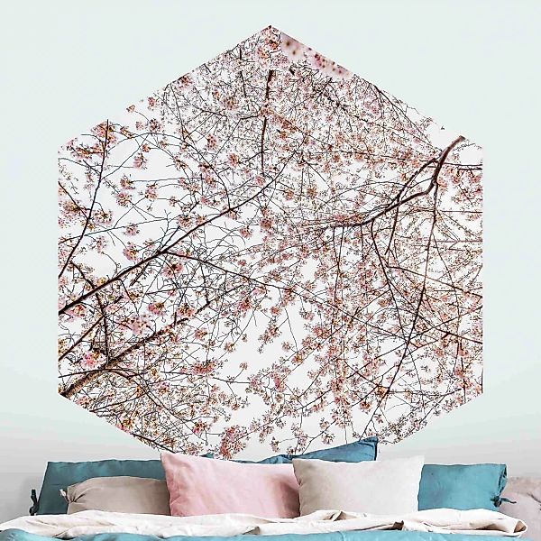 Hexagon Mustertapete selbstklebend Blick in Kirschblütenzweige günstig online kaufen