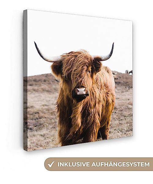 OneMillionCanvasses® Leinwandbild Schottische Highlander - Landschaft - Kuh günstig online kaufen