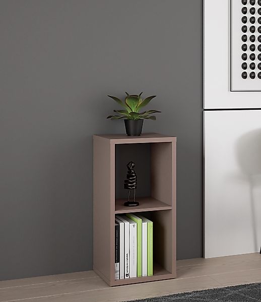 FORTE Standregal, Regal mit 2 Fächern, günstig online kaufen