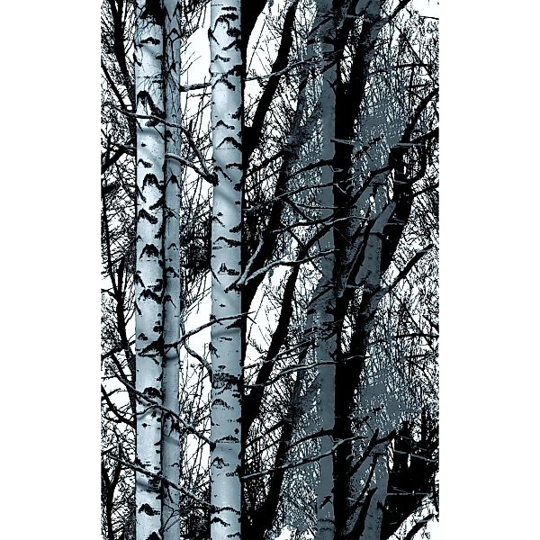 d-c-fix Klebefolie Wood 150 cm x 45 cm günstig online kaufen
