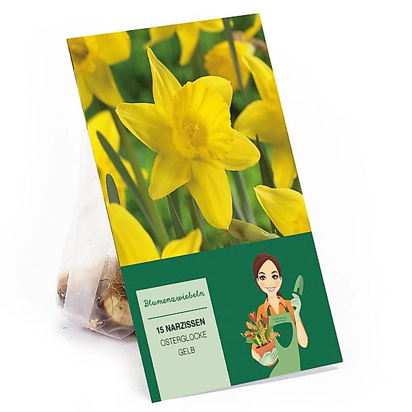 Narzissen Osterglocke Gelb 15 Stück Narcissus Yellow günstig online kaufen