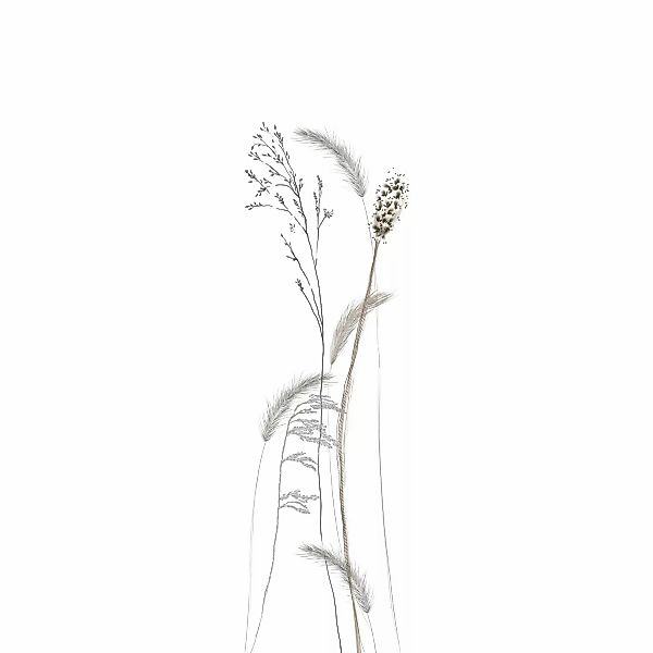 Marburg Vliestapete Gräser Crushed-Optik Modern 270 cm x 70 cm Weiß günstig online kaufen