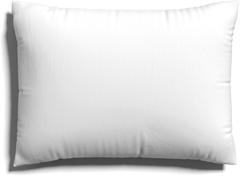 Schlafgut Kissenbezug EASY Jersey, (1 Stück), günstig online kaufen