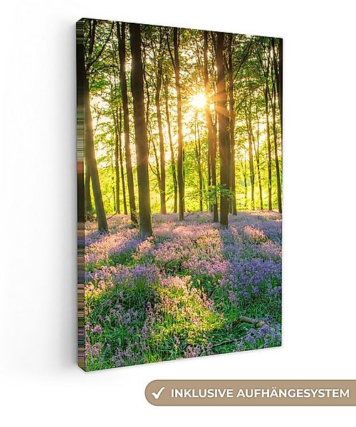 OneMillionCanvasses® Leinwandbild Frühling - Wald - Sonne, Fotodruck (1 St) günstig online kaufen