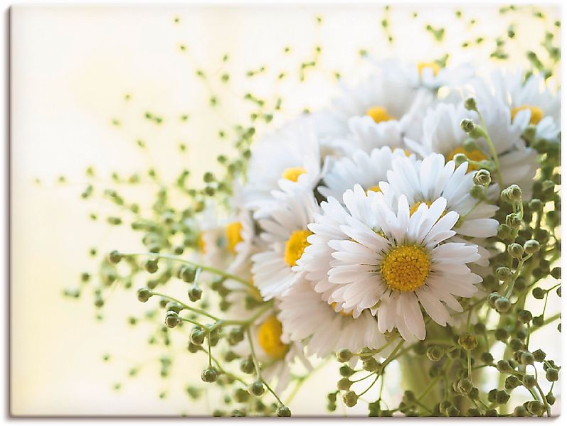 Artland Wandbild »Gänseblümchen und Hofstaat«, Blumen, (1 St.), als Leinwan günstig online kaufen