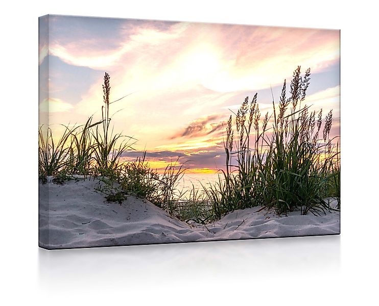 lightbox-multicolor LED-Bild Gras am Strand bei günstig online kaufen
