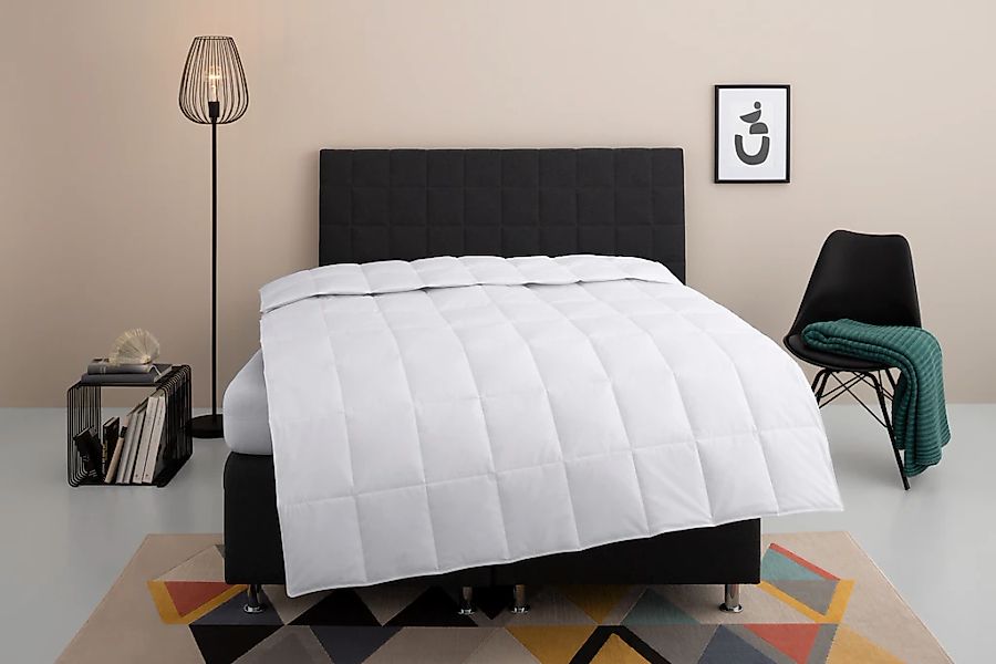 my home Daunenbettdecke "Nobyn, Bettdecke 135x200 cm und 155x220 cm" leicht günstig online kaufen