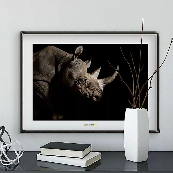 KOMAR Wandbild - Black Rhinoceros - Größe: 70 x 50 cm mehrfarbig Gr. one si günstig online kaufen
