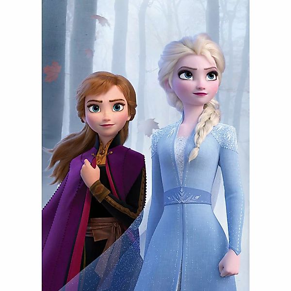 Komar Poster Frozen Sisters in the Wood Disney B/L: ca. 50x70 cm günstig online kaufen