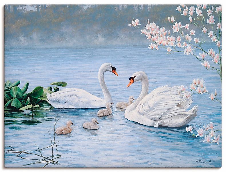 Artland Leinwandbild "Stolze Schwanenfamilie" Vögel 1 Stk. tlg. auf Holzrah günstig online kaufen