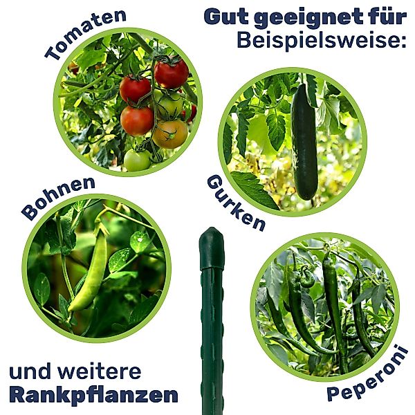 Gravidus Rankhilfe Pflanzstab Rankhilfe Stahl mit günstig online kaufen