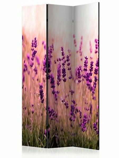 artgeist Paravent Lavender in the Rain [Room Dividers] mehrfarbig Gr. 135 x günstig online kaufen