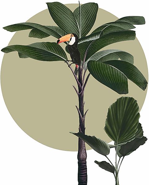 Komar Bild "Botanical Garden Palmtree" Natur 1 Stk. tlg. Wandbild zur Dekor günstig online kaufen