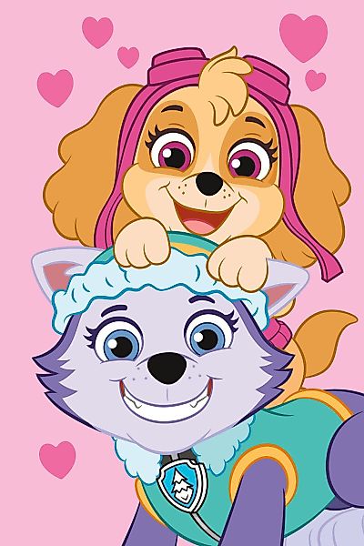 Wohndecke Paw Patrol Pink Polar Fleece günstig online kaufen