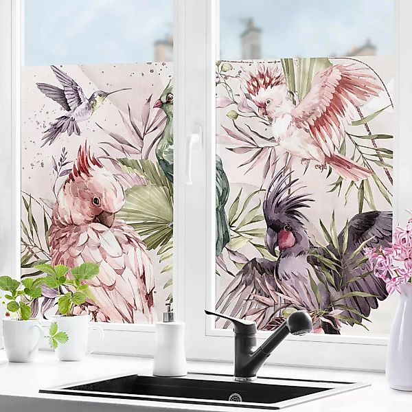 Fensterfolie Tropische Vögel - Bunte Kakadus und Kolibri günstig online kaufen
