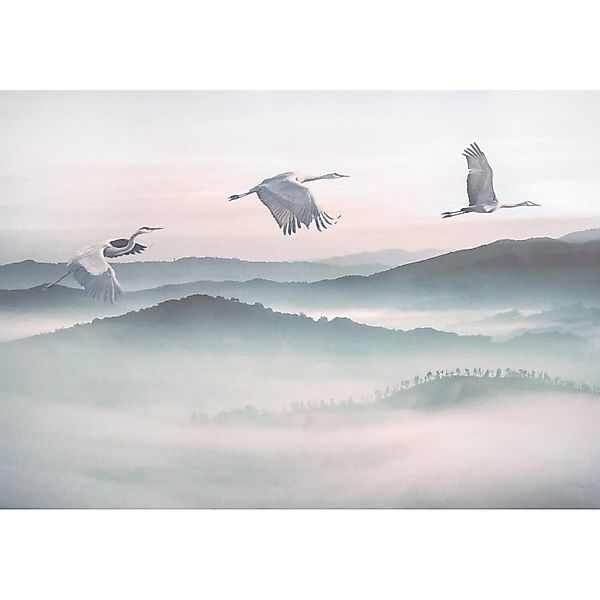 Komar Fototapete Vlies Mystic Cranes  400 x 280 cm günstig online kaufen