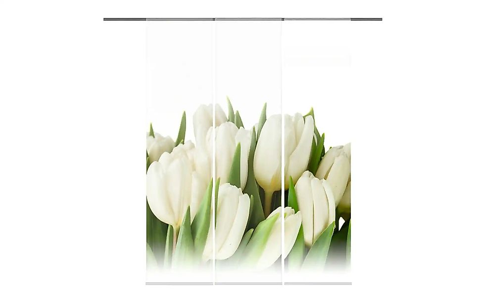 HOME Wohnideen Schiebevorhang   ¦ beige ¦ Maße (cm): B: 60 H: 245 Gardinen günstig online kaufen