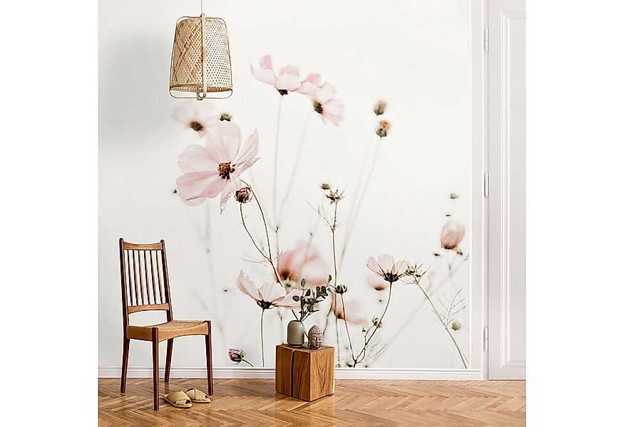 Bilderdepot24 Fototapete Blumen Cosmea zarten Cremetönen Blumentapete Flora günstig online kaufen