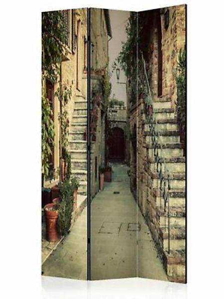 artgeist Paravent Tuscan Memories [Room Dividers] grün-kombi Gr. 135 x 172 günstig online kaufen