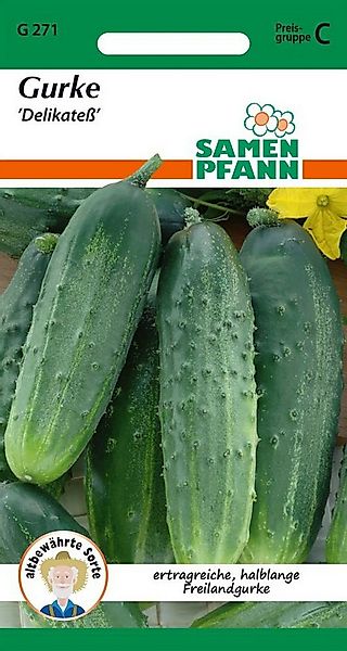 SAMEN PFANN Gemüsesamen Einlegegurke, Delikateß - Gurken-Samen Saatgut Same günstig online kaufen
