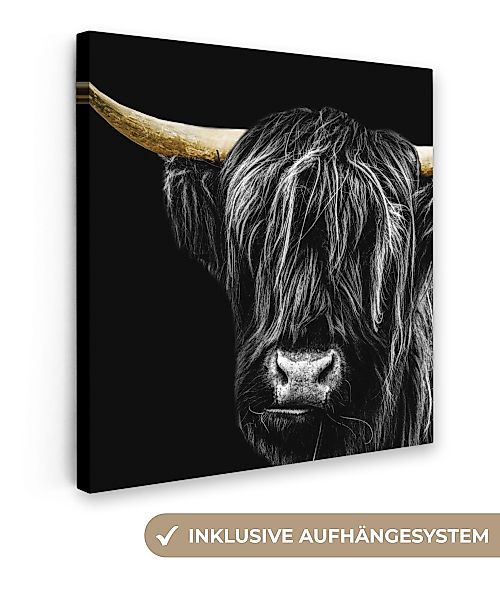OneMillionCanvasses® Leinwandbild Schottischer Highlander - Gold günstig online kaufen