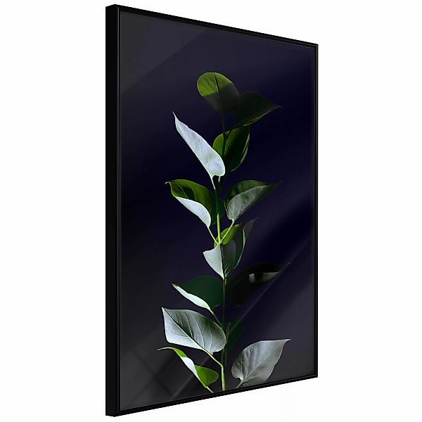 Poster - Floral Elegance günstig online kaufen