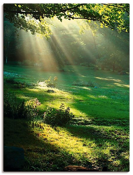 Artland Wandbild "Lichtkegel" Wald 1 Stk. tlg. als Alubild, Outdoorbild, Le günstig online kaufen