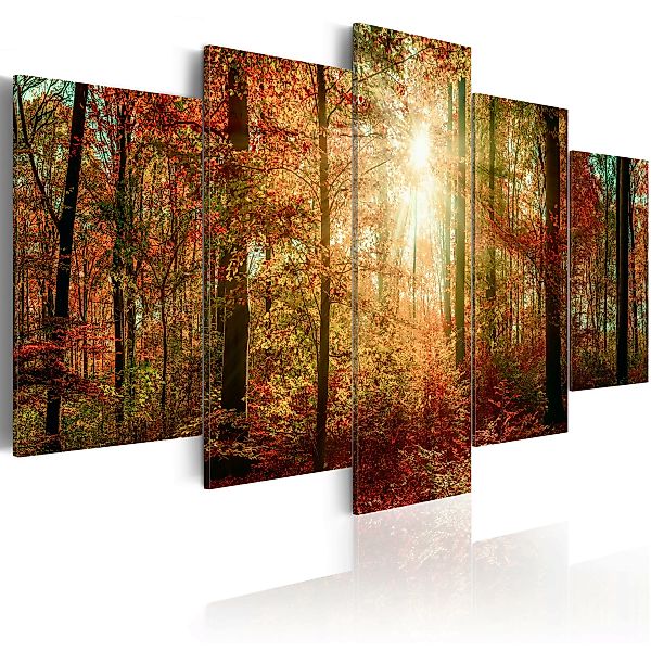 Wandbild - Autumn Wilderness günstig online kaufen