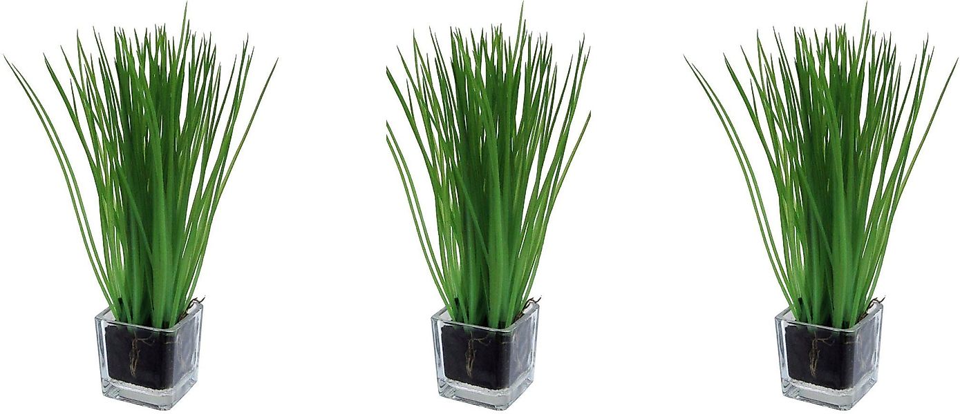 Creativ green Kunstgras "Gras im Glas" günstig online kaufen