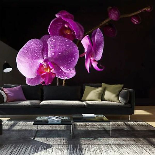 artgeist Fototapete stilvoll  Orchidee mehrfarbig Gr. 450 x 270 günstig online kaufen