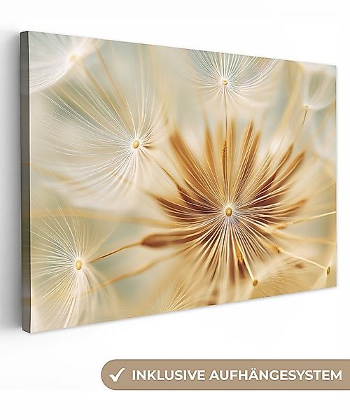 OneMillionCanvasses® Leinwandbild Löwenzahn - Beige - Abstrakt - Modern - N günstig online kaufen