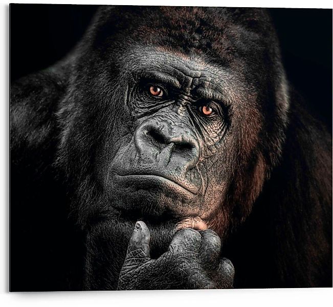 Reinders Deco-Panel "Gorilla" günstig online kaufen