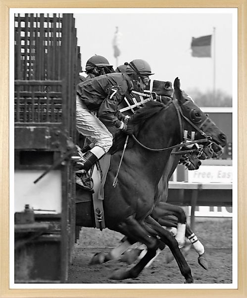queence Bild mit Rahmen "Vintage Polo Pferderennen" Foto  Menschen  Pferde günstig online kaufen