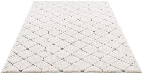 Carpet City Hochflor-Teppich "Focus 4499" rechteckig 20 mm Höhe Läufer, Boh günstig online kaufen
