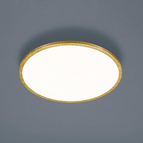 Helestra Rack LED-Deckenlampe dimmbar rund gold günstig online kaufen