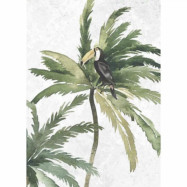 Komar Bild "Tropical Toucan", Natur, (1 St.), Wandbild zur Dekoration - ohn günstig online kaufen