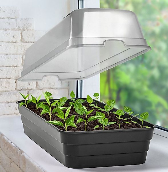 dynamic24 Anzuchttopf mit Deckel Minigewächshaus (1 St), Beet Frühbeet Anzu günstig online kaufen