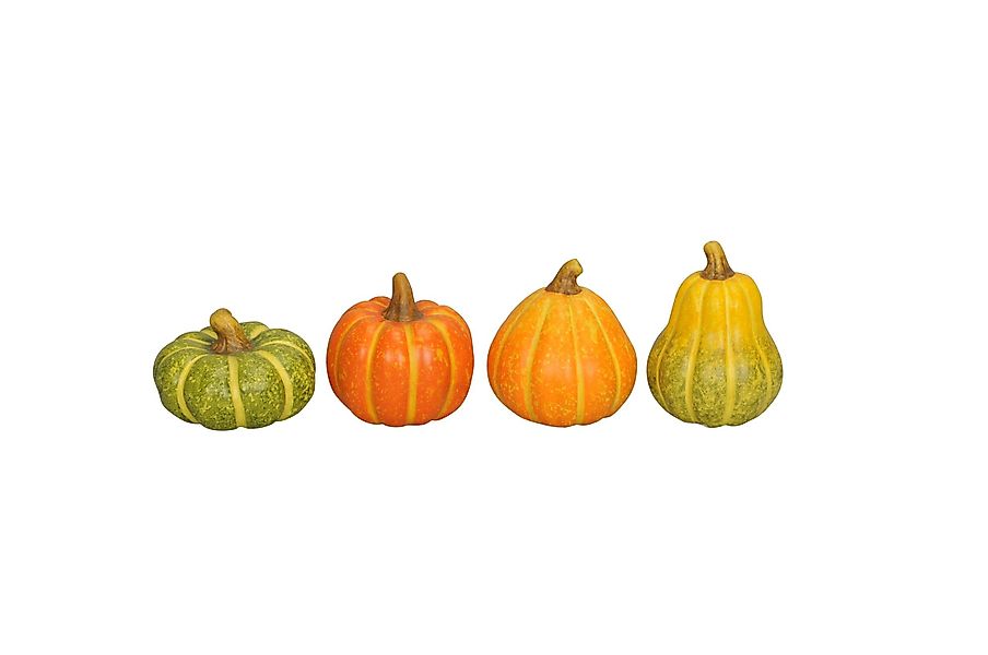 finehomegarden Dekofigur Kürbis bunt 4fach sort. günstig online kaufen