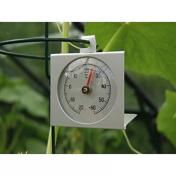 Thermometer günstig online kaufen