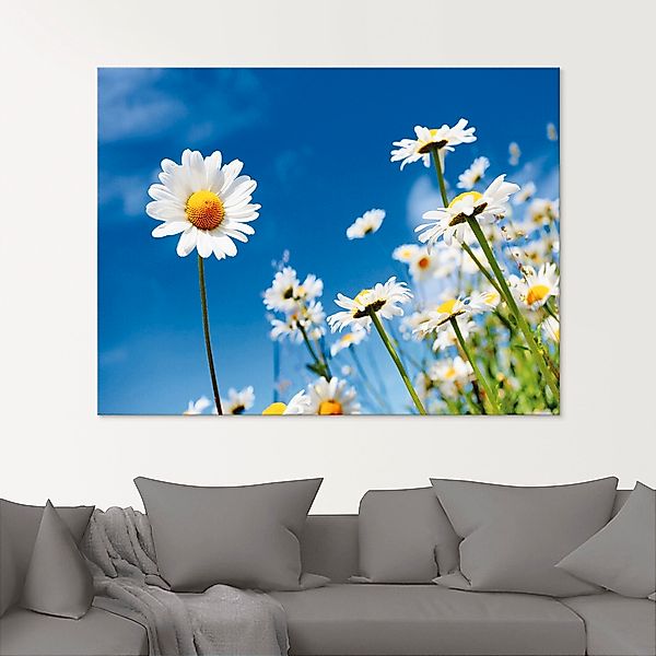 Artland Glasbild "Gänseblümchen", Blumenwiese, (1 St.), in verschiedenen Gr günstig online kaufen