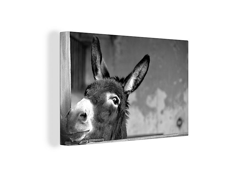 OneMillionCanvasses® Leinwandbild Esel - schwarz und weiß, Fotodruck (1 St) günstig online kaufen