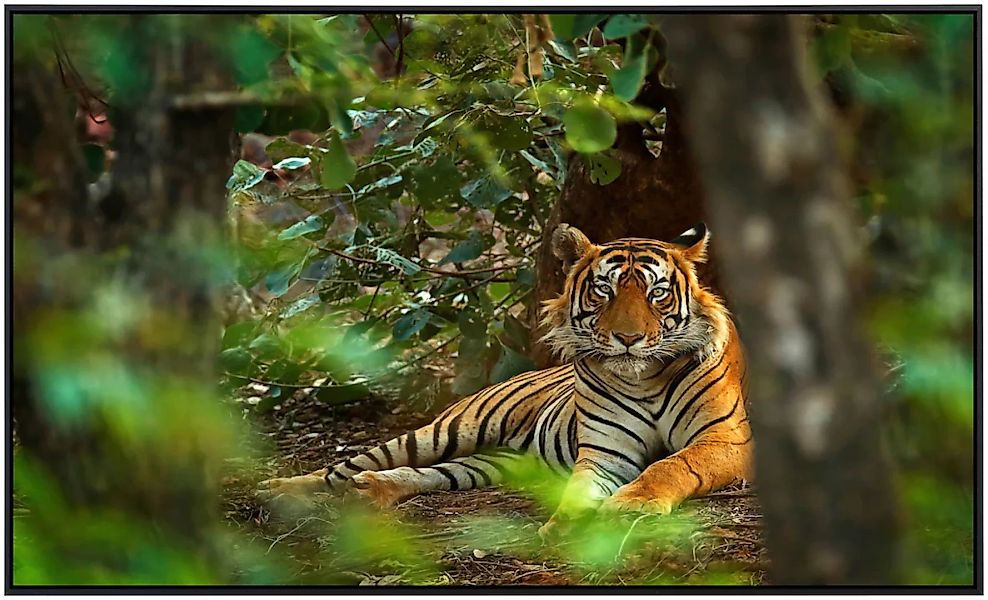 Papermoon Infrarotheizung »Tiger im Wald«, sehr angenehme Strahlungswärme günstig online kaufen