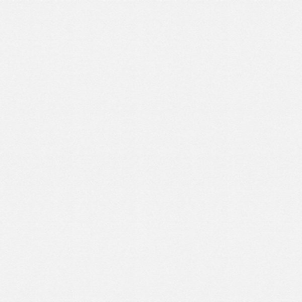 Bricoflor Weiße Tapete Schlicht Moderne Einfarbige Vliestapete Weiß zum übe günstig online kaufen