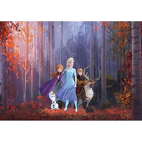 Komar Vliesfototapete Frozen Autumn Glade 400 cm x 250 cm günstig online kaufen