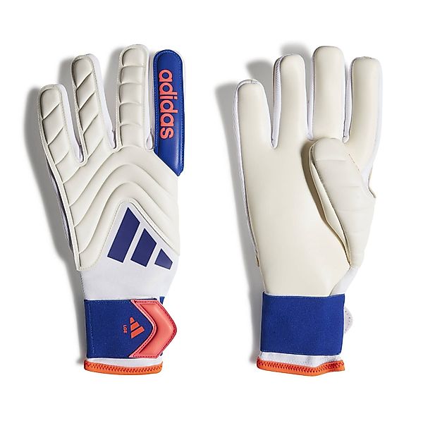 adidas Performance Strickhandschuhe Herren Torwarthandschuhe COPA günstig online kaufen
