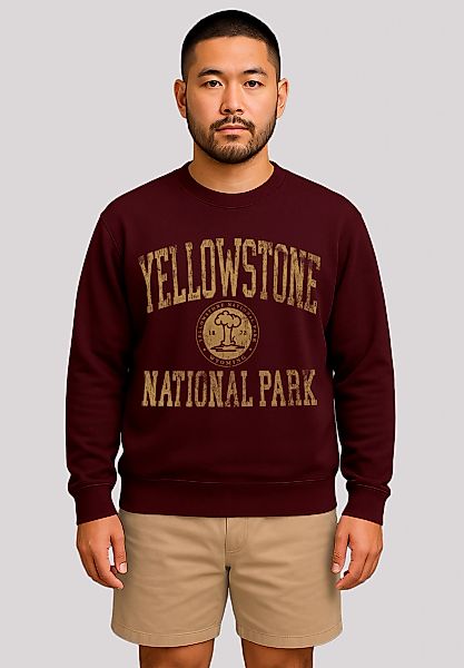 F4NT4STIC Sweatshirt "US National Parks Yellowstone Wyoming", Premium Quali günstig online kaufen
