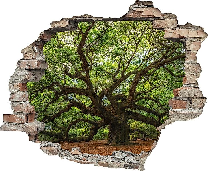queence Wandtattoo Baum (1 St), Wandsticker, günstig online kaufen